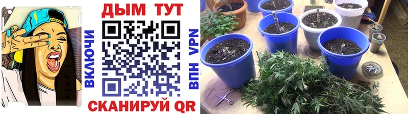 Бошки Шишки марихуана  хочу наркоту  Спас-Деменск 